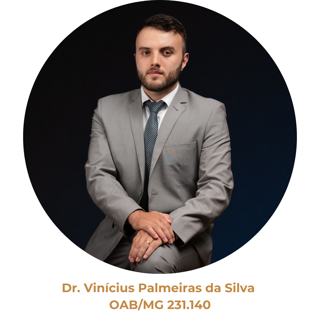 Dr. Vinicius Palmeiras da Silva OABMG 231.140